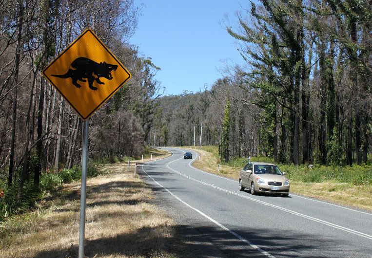 tassie road with sign image